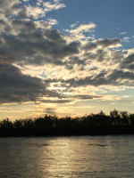 IMG_0376-v