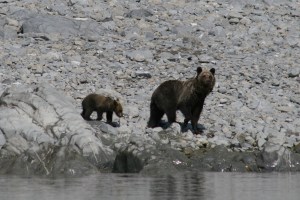 IMG_0687
