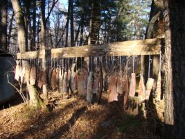 phoca_thumb_l_dsc03629